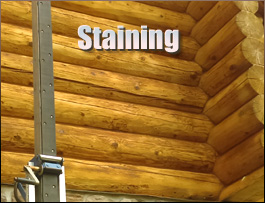  Leicester, North Carolina Log Home Staining